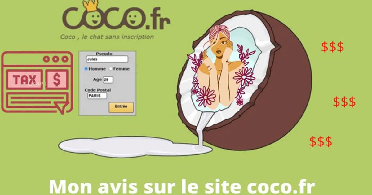 avis coco chat